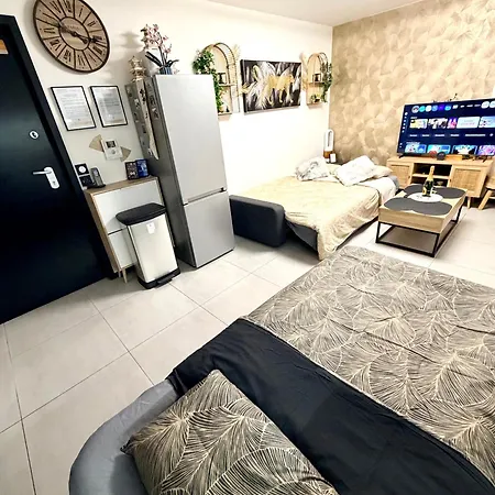 Paris Japonais Appartement *