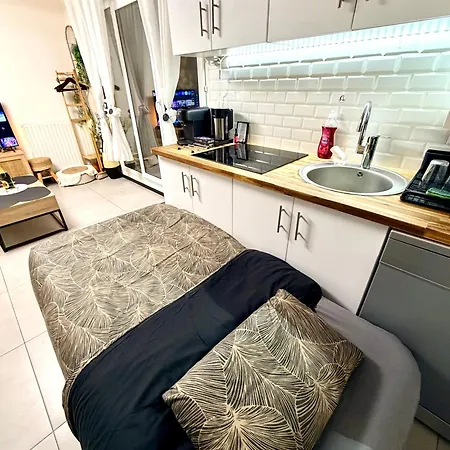 Paris Japonais Appartement *