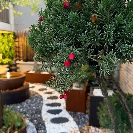Appartement Paris Japonais